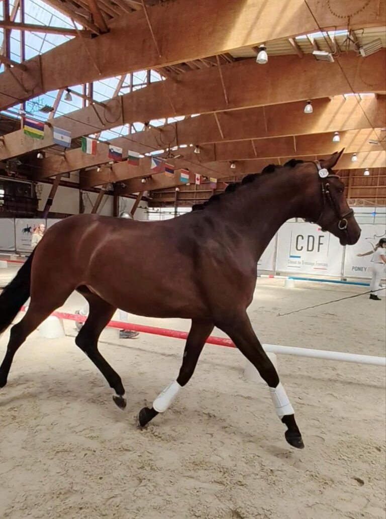 Flower Sun, soeur de Firesun