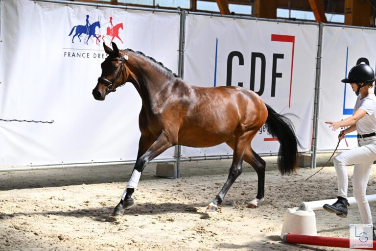 Flower Sun, soeur de Firesun