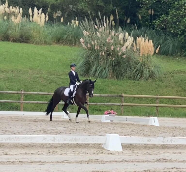 Doriane de Malleret, jument de dressage