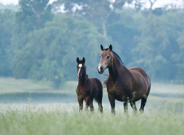 Doriane de Malleret et sa mère Turquoise de Massa