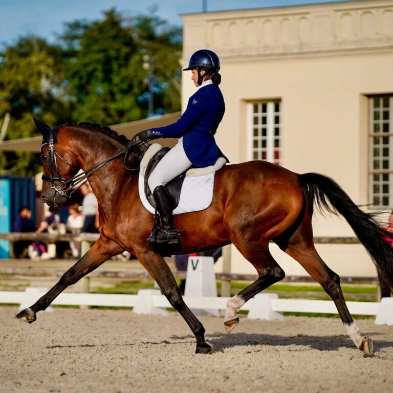 Qaruh LH lors d'une compétition de dressage.