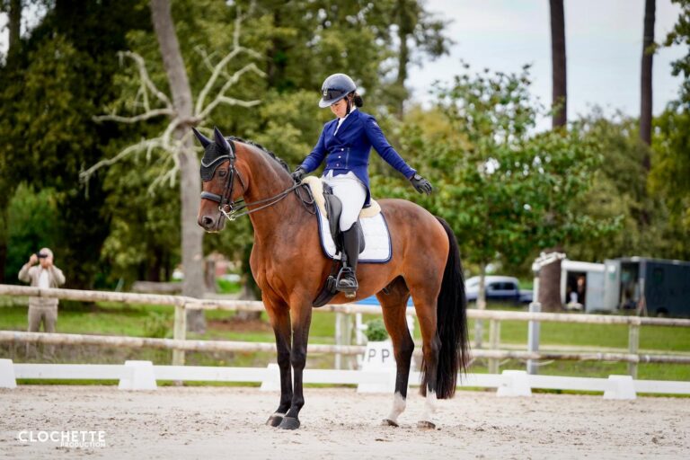 Qaruh en compétition de dressage.