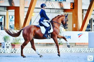 Alexandre Chéret, cavalier de dressage