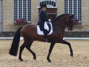 Véronique Pruède, cavalière de dressage
