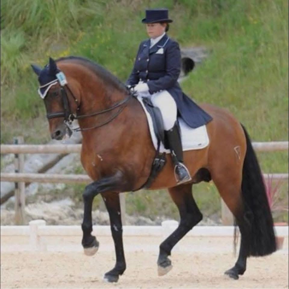 Véronique Pruède, cavalière de dressage