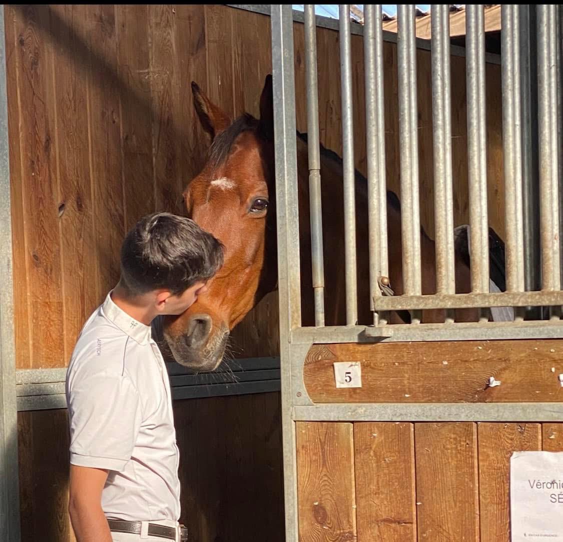 Un cheval au box avec son cavalier Alexandre Chéret
