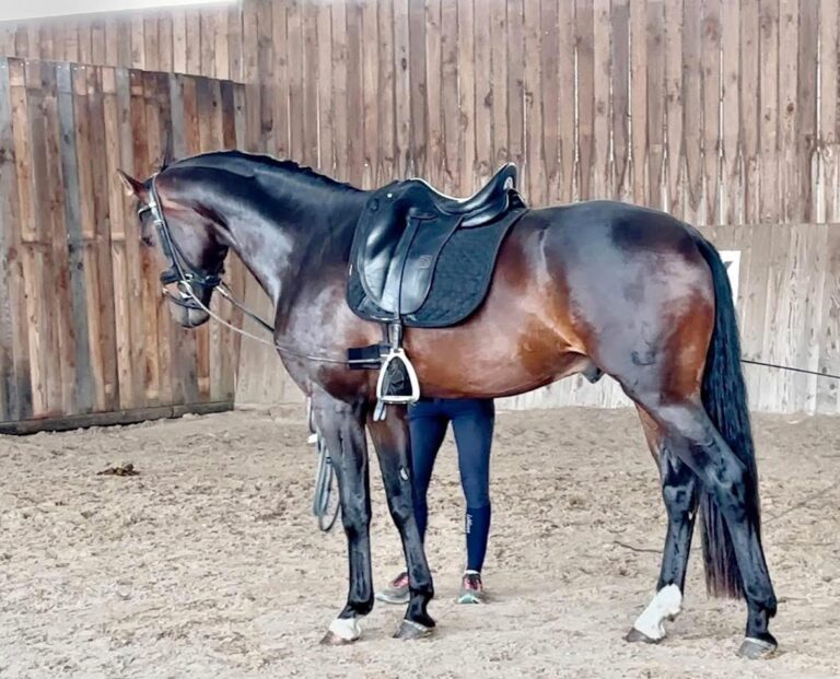 Fidersun, frère de Firesun