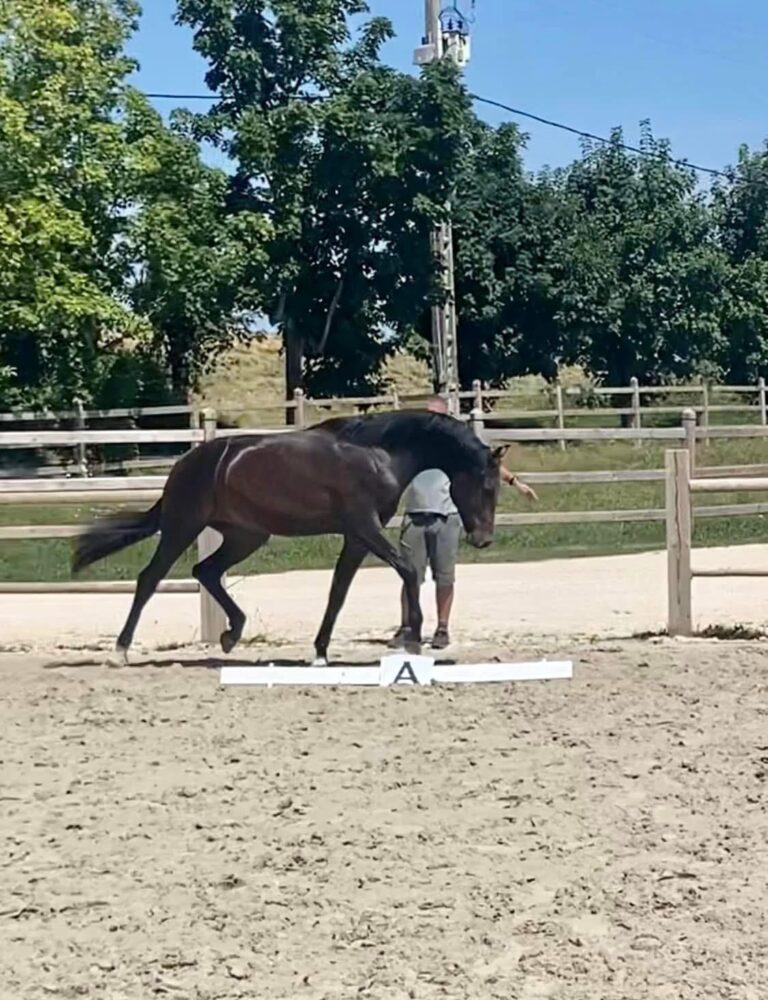 Fidersun, frère de Firesun