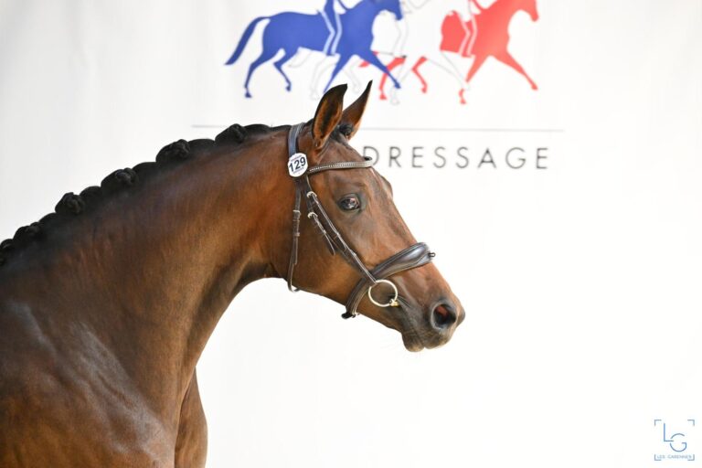 Flower Sun, soeur de Firesun