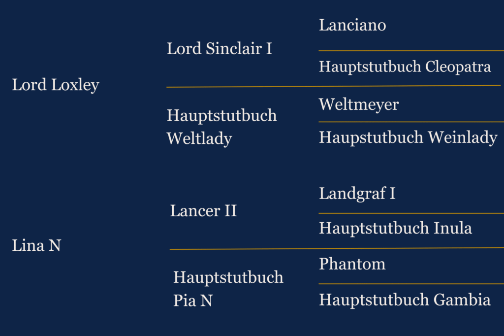 Généalogie de Lady Loxley, jument de dressage à vendre