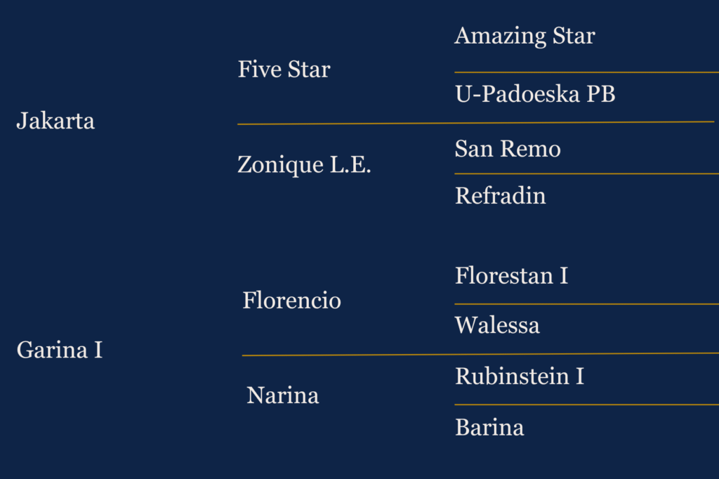 Généalogie de Néméarina, jument de dressage à vendre