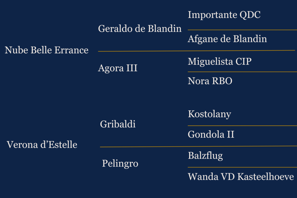 Généalogie d'Eyra Belle Errance, jument de dressage