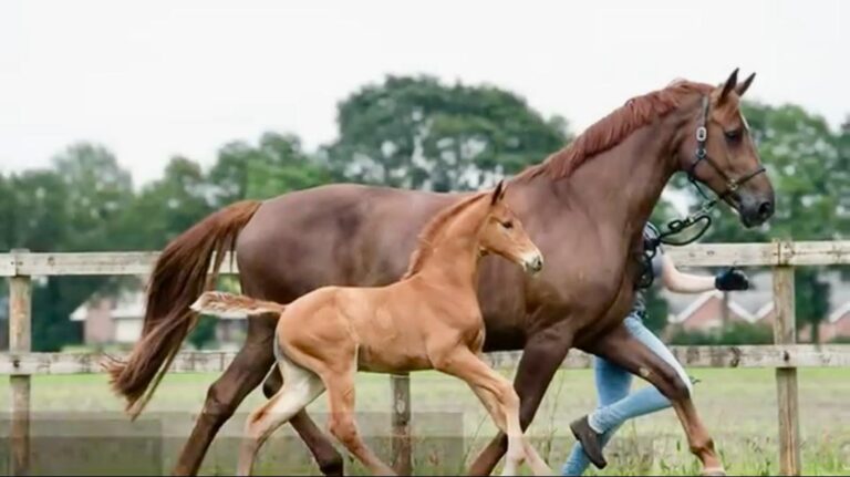 Néméarina et sa mère garina