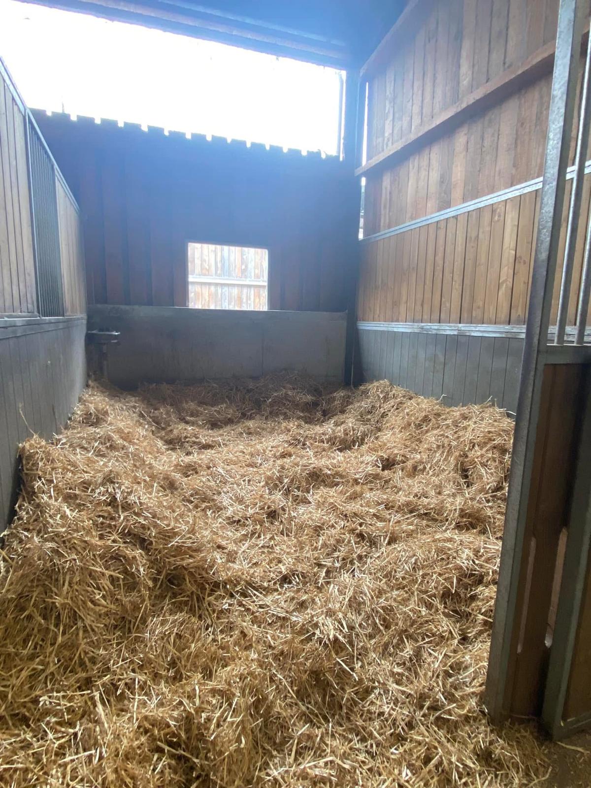 Un box au Haras de Piquès