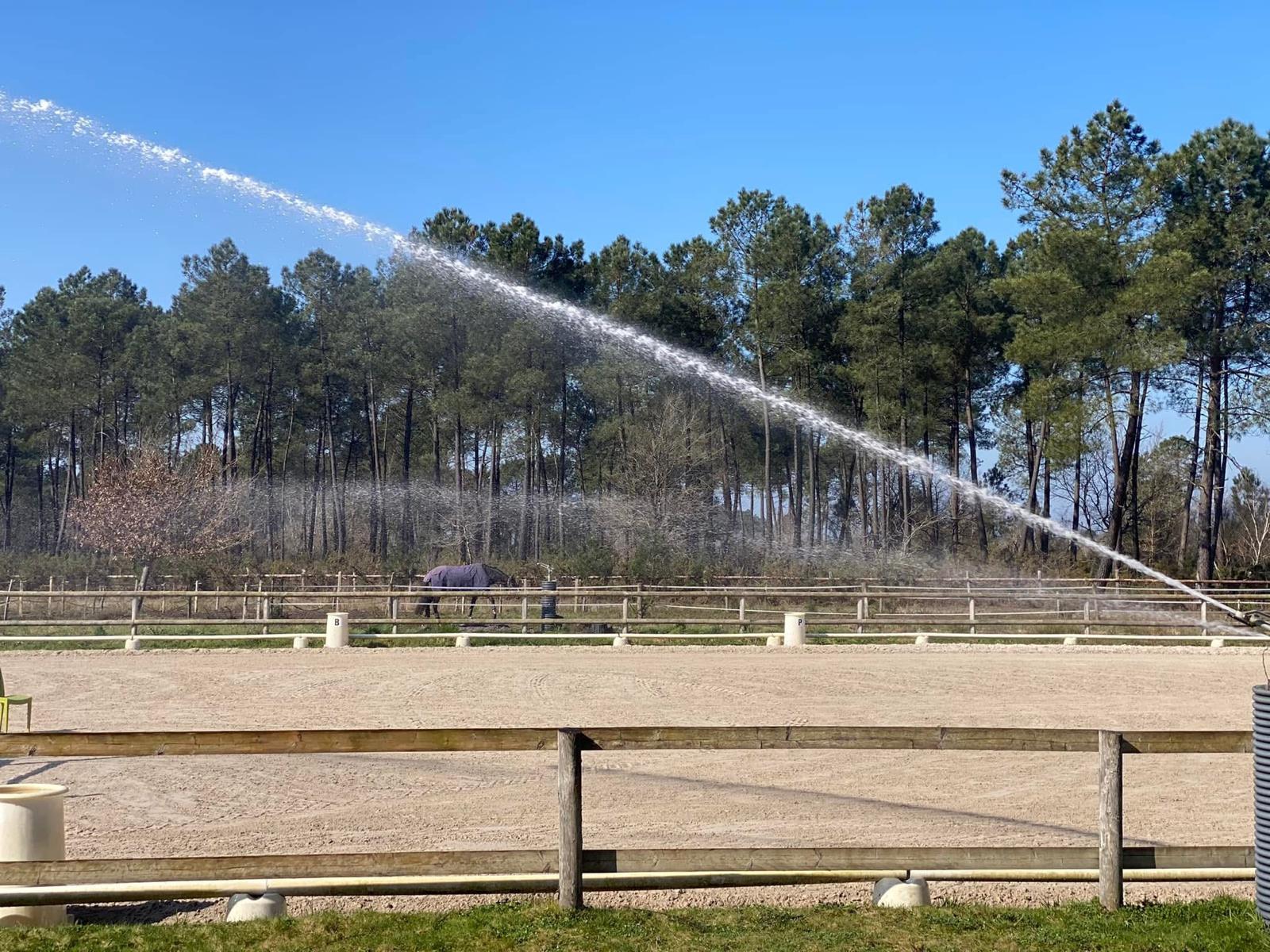 Carrière de dressage arrosée