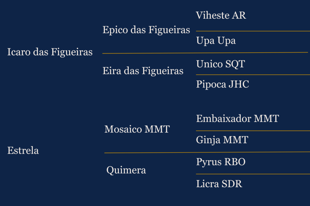 Généalogie Queluz LL