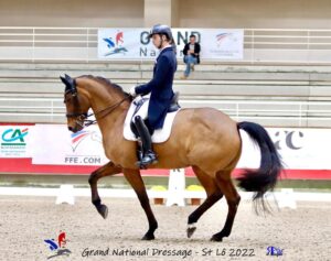 Alexandre Chéret, cavalier de dressage