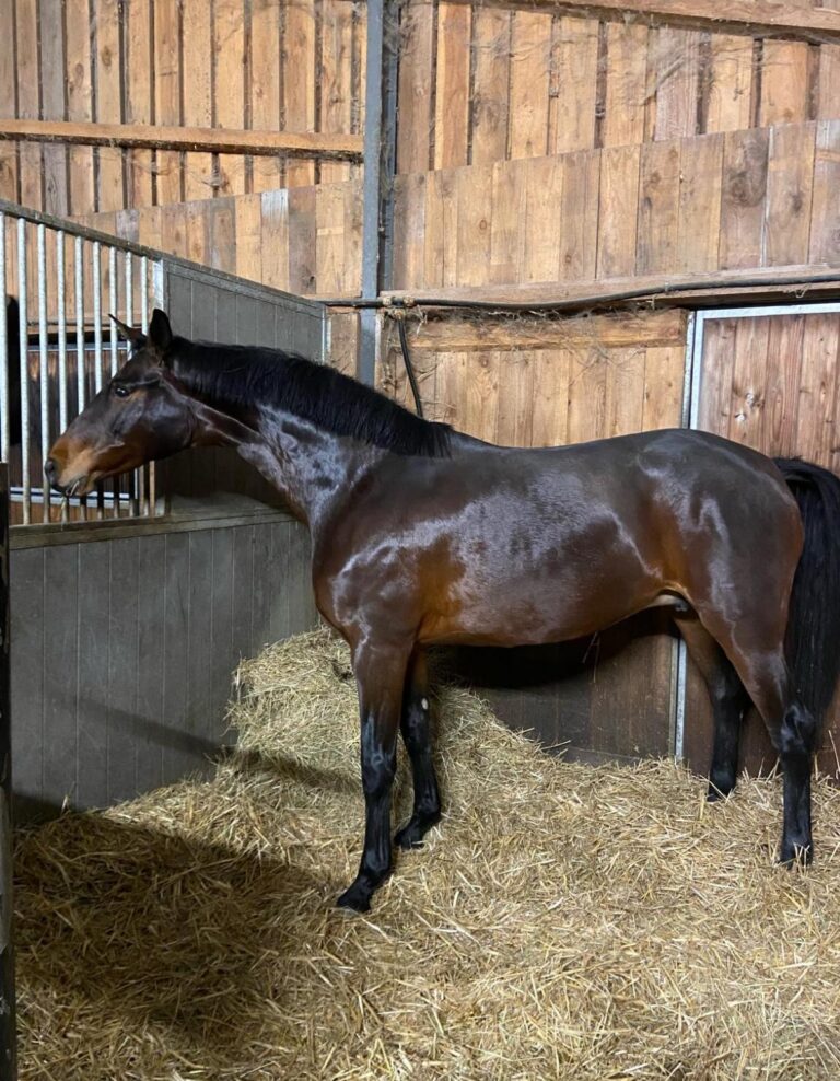 WhatsApp Image 2026-01-08 at 15.13.37