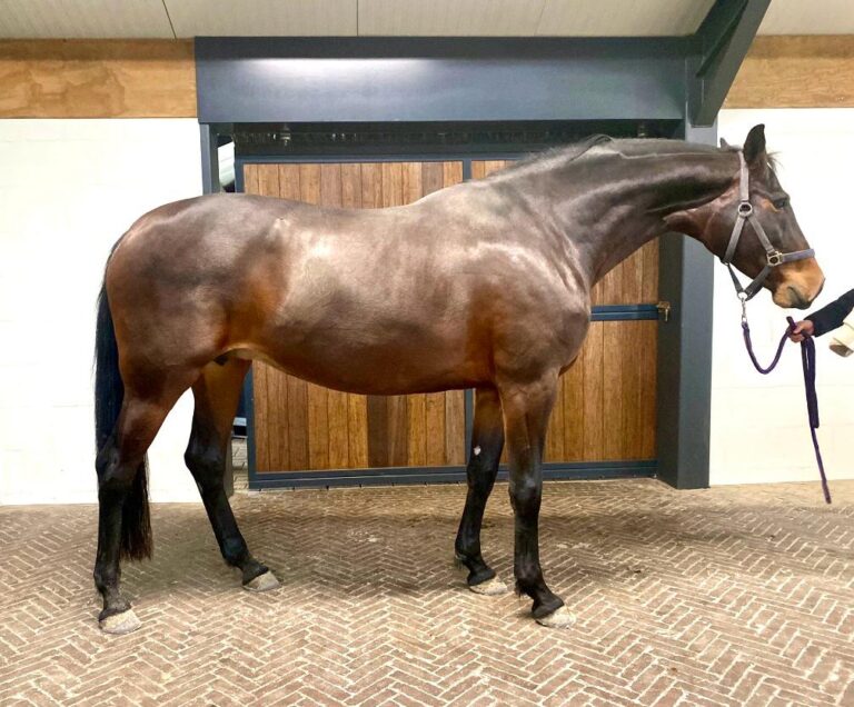 WhatsApp Image 2026-01-08 at 15.15.03